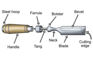 Parts of a beveled chisel